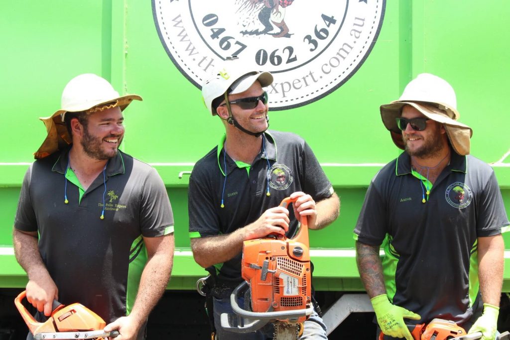 The tree expert team with a chainsaw